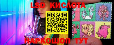 spice Новодвинск
