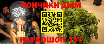 spice Новодвинск