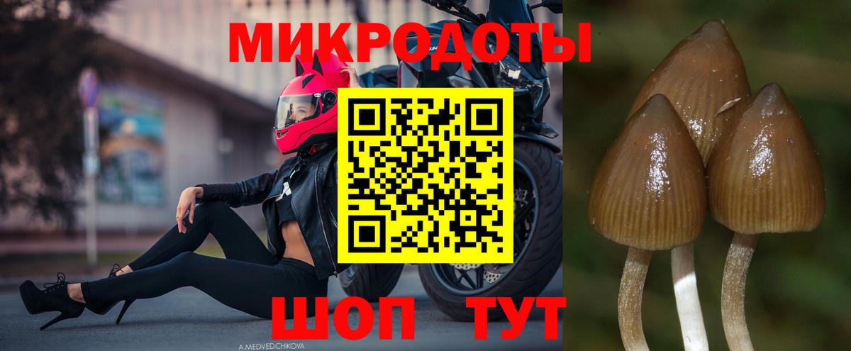 Усинск  наркотики  Вход с VPN  Псилоцибиновые грибы Magic Shrooms 